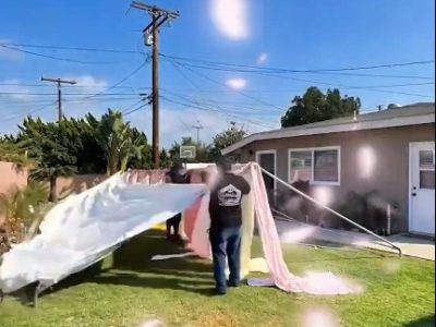 image (74) image (74)